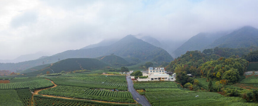青山綠水杭州龍塢茶園秋色航拍