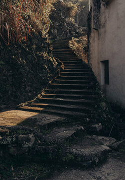 山路
