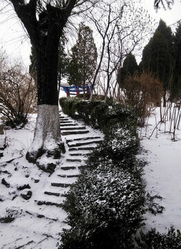 覆蓋白雪的石階