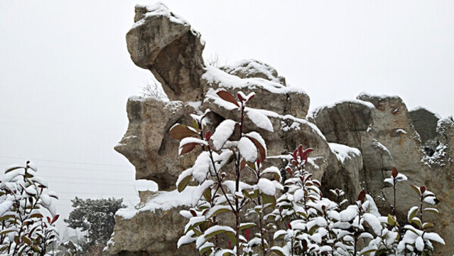 奇石冬雪