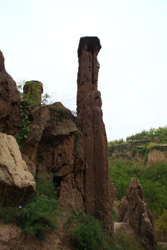 馮家會土林