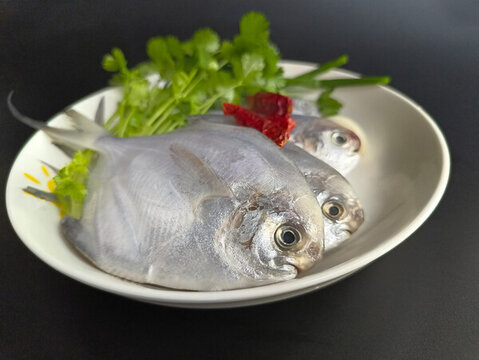 拍攝鮮辣鯧魚