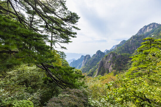 安徽黃山風(fēng)景區(qū)自然風(fēng)光