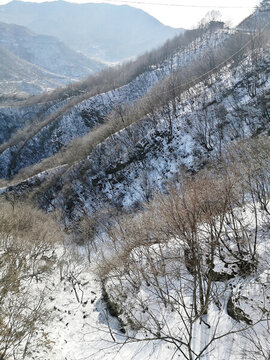 雪景