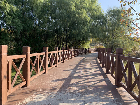 都市公園