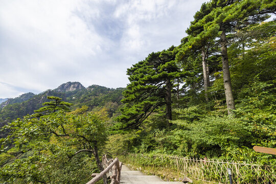 黃山自然風(fēng)景區(qū)的山間通道