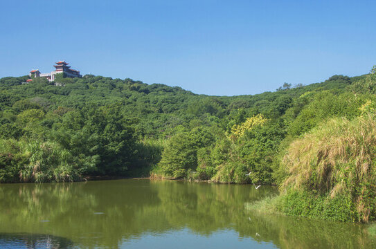 漳州鳳凰山景色