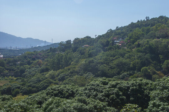 漳州南巖山風光