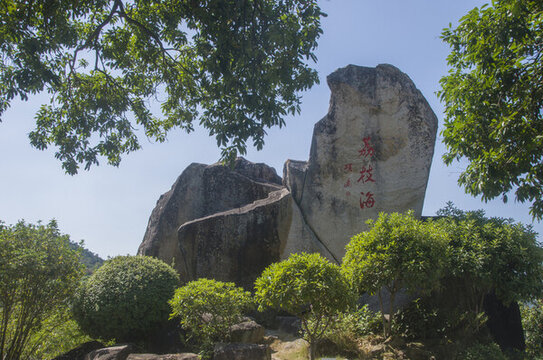 漳州鳳凰山母雞石景觀