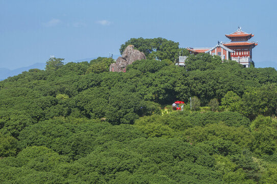 漳州鳳凰山荔枝海
