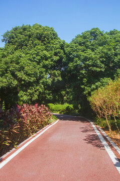漳州荔枝海生態(tài)公園步道