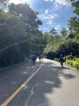 綠色騎行休閑步道