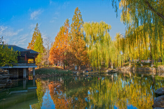 北京中山公園秋景