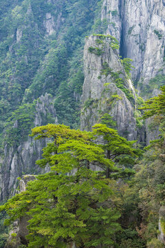 安徽黃山風(fēng)景區(qū)自然風(fēng)光