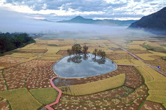 芒見(jiàn)