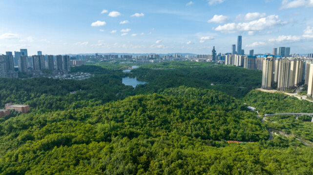 貴陽觀山湖公園