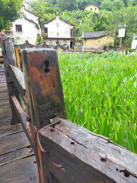 田園風(fēng)光