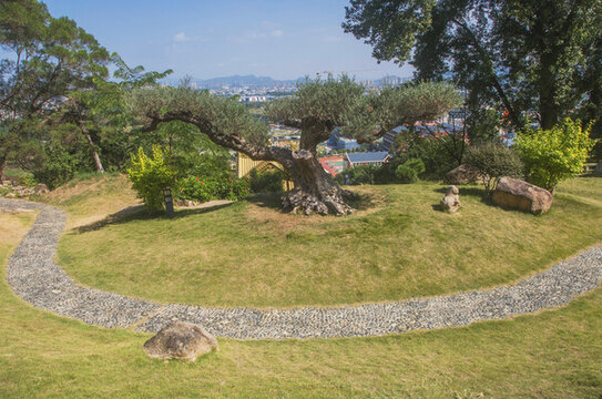 漳州七首巖遠求園風景