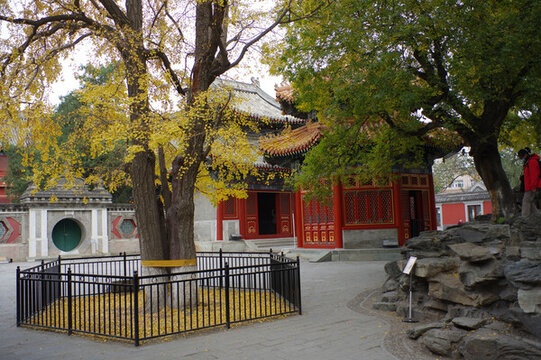 北京萬壽寺