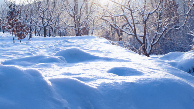 雪景
