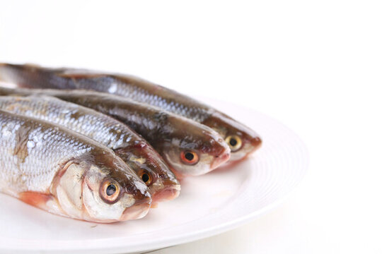 華子魚