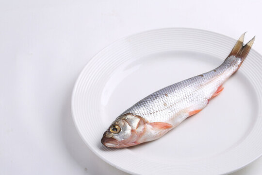 華子魚(yú)