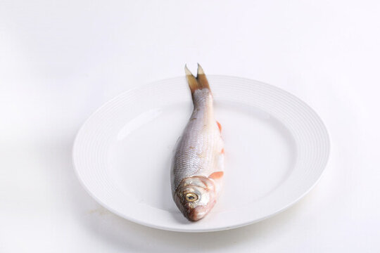 華子魚