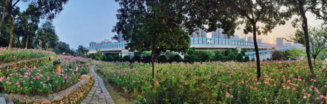 人民公園風(fēng)光