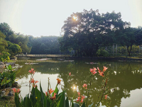 人民公園風(fēng)光