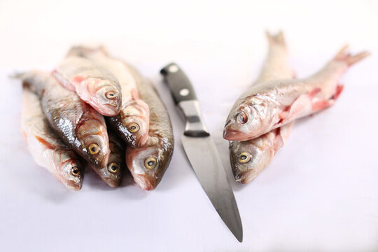 三去華子魚