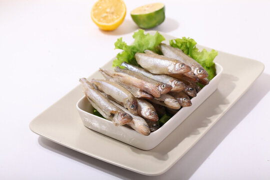 多春魚