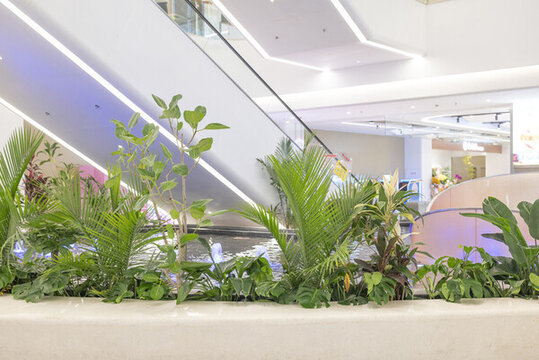 大型商場室內(nèi)綠植裝飾