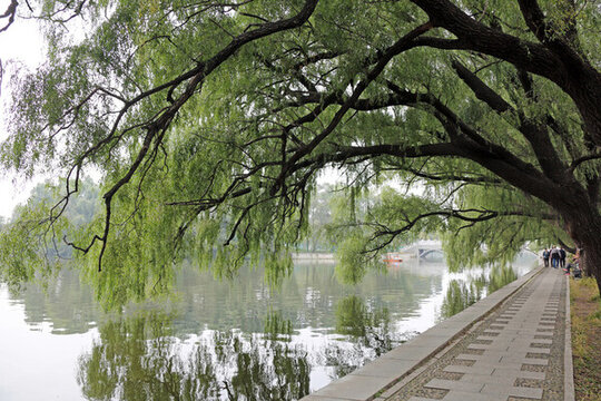 沈陽(yáng)北陵公園