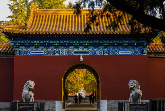 北京中山公園秋色