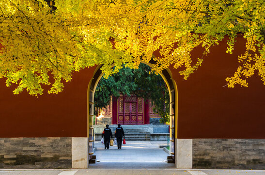 北京中山公園秋色