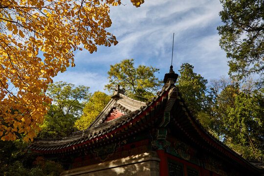 北京市香山公園秋色