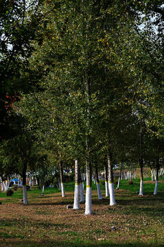 南溪濕地公園