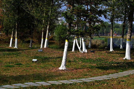 南溪濕地公園