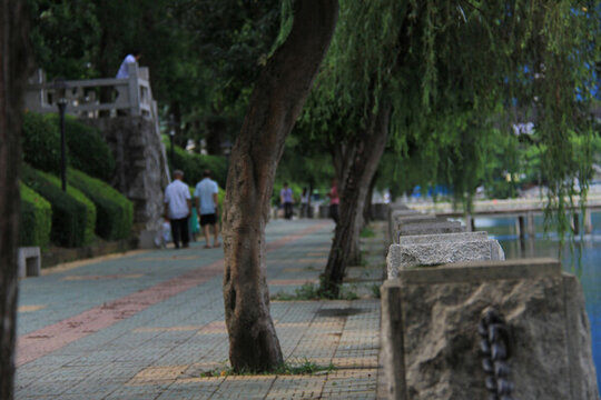 鱷湖公園