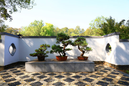 武漢解放公園中華塔園