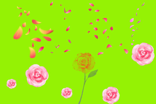 花瓣花朵綠草地背景圖