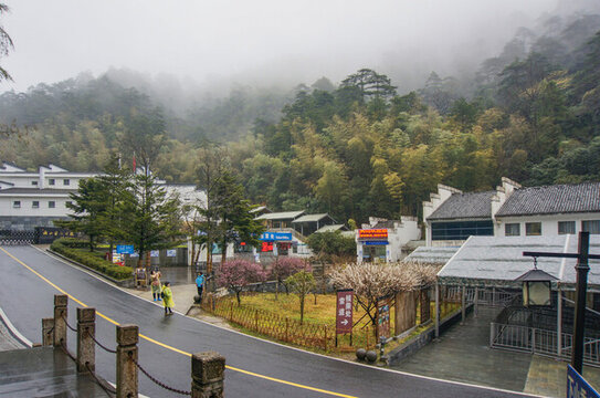 晨霧山景