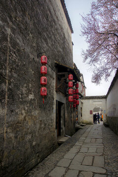 家鄉(xiāng)小巷