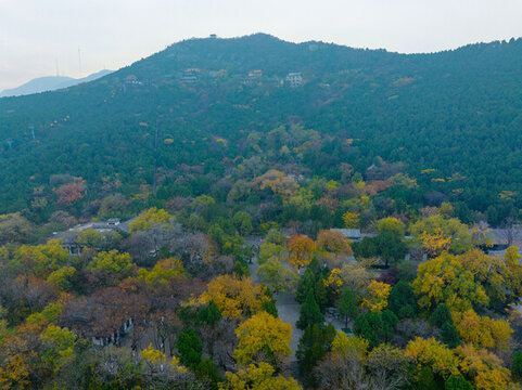 航拍濟(jì)南千佛山公園