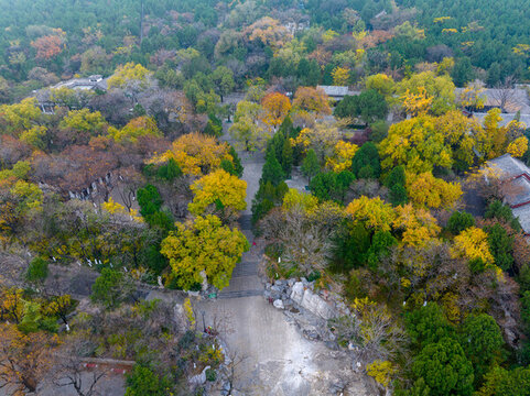 航拍濟南千佛山公園