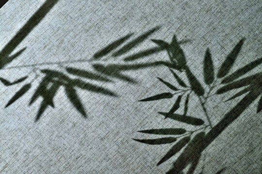 竹影