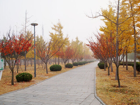 秋日公園步道
