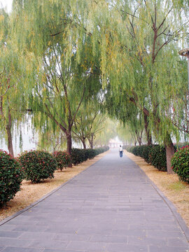 秋日公園步道