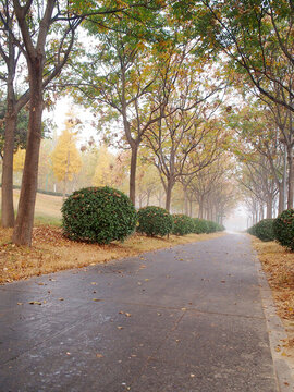 公園步道