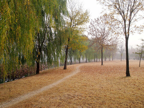 莒南雞龍河濕地公園風(fēng)光